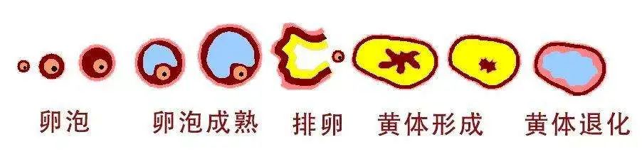 微信图片_20220715134119.jpg